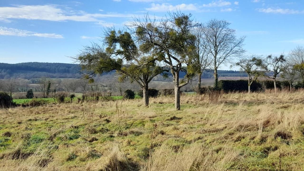 Gite Cottage Chaleureux En Pleine Campagne Vue Sur Les Monts Et Forets Et Le Chateau De Carrouges Luaran gambar