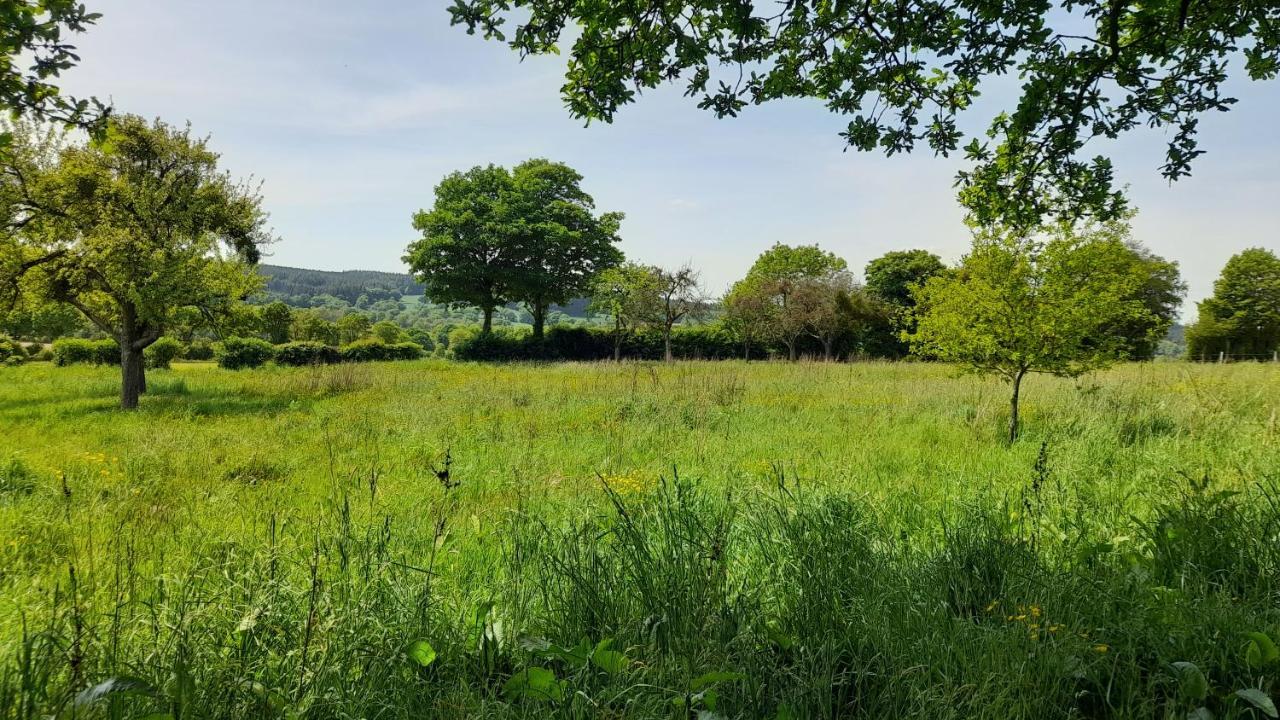Gite Cottage Chaleureux En Pleine Campagne Vue Sur Les Monts Et Forets Et Le Chateau De Carrouges Luaran gambar